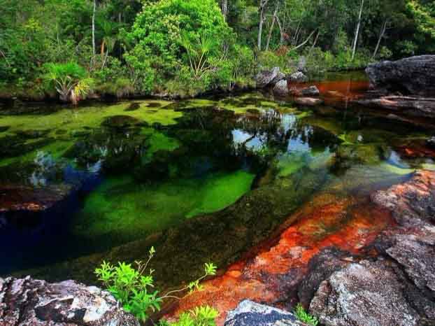 Caño Cristales, Colombia Caño Cristales (English: Crystal Channel) is a Colombian river located in the Serrania de la Macarena province of Meta. It's a tributary of the...