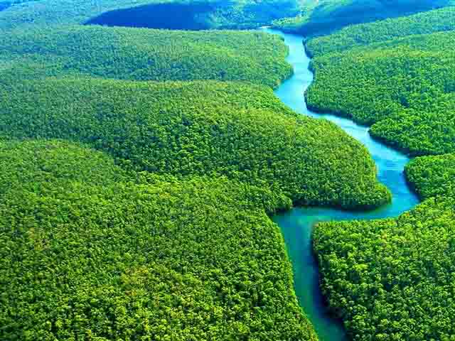 The Amazon River The Amazon River of South America is the world's largest river and the lifeblood of the world's largest ecosystem, spanning two-fifths of an entire co...