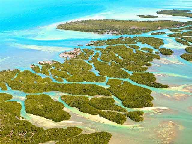 Florida Keys The Florida Keys are a 120 mile long chain of tropical islands curving around the base of the Florida peninsula, connected to the mainland by a series...