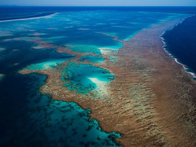 Great Barrier Reef, Queensland This world heritage-listed destination is home to thousands of tropical fish, turtles and dolphins. Stay at one of the main towns, Port Douglas or Cai...