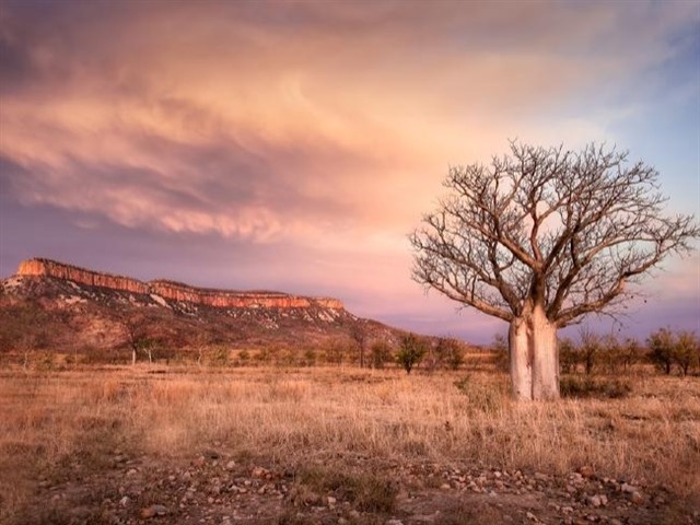 The Kimberley, Western Australia The location for many of the scenes of Baz Lurhman’s romantic outback film, Australia, The Kimberley is home to incredible waterholes, a crocodi...