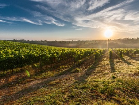 Margaret River Region, Western Australia Got wine on your mind? Margaret River is the perfect bucket list destination for food and wine enthusiasts, with hundreds of world class wineries and ...