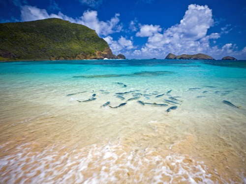 Lord Howe Island, NSW This tiny little island only ever allows 400 tourists on it at a time, making you feel like you have the place to yourself. Spend your days hiking, sc...