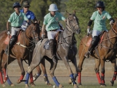 Polo The typical ‘rich game’, polo is a sport that exudes wealth. From the royal family to superstars such as Clark Gable and Spencer Tracy, po...