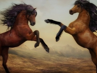 Owning horses Another common pastime that rich people normally do is owning horses. Robert Redford and Steven Spielberg are just two of the big-earning big-names to...