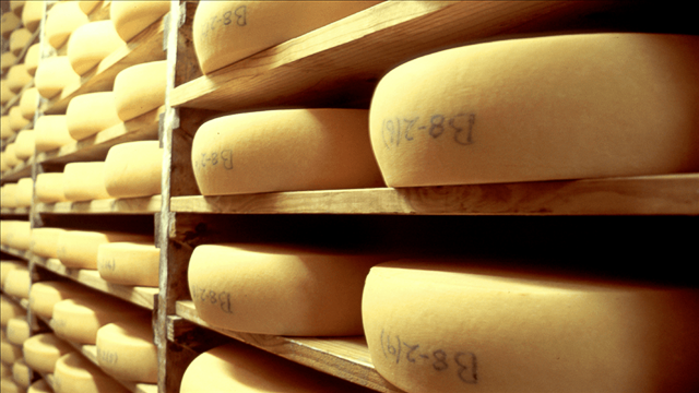 Stock up on cheese in Stanford Standford, a small riverside town in the Overberg near Hermanus has been injected with life in the last few years. The charming town is well-worth a v...