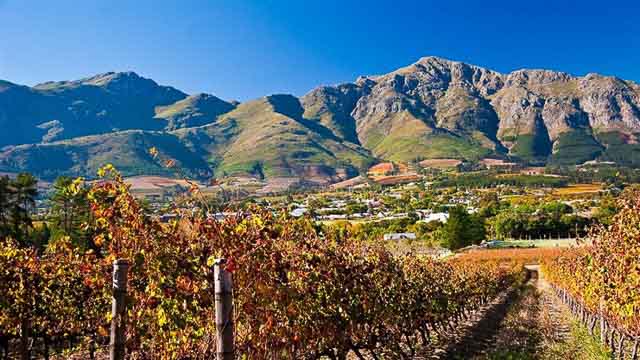 Wedgeview Country House & Spa Wedgeview Country House & Spa is located just outside the picturesque and historic town of Stellenbosch, where the indulgence of a five-star hotel...