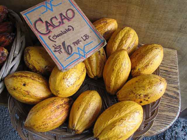 Cacao Cacao has been recognised as a superfood for a while now, and the good news is that Colombia produces large quantities of cacao throughout the country...