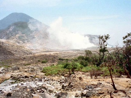 PAPANDAYAN, INDONESIA This volcano is located in Java, Indonesia. In 1923, 1942 and 2002 several big movements and a little eruptions were registered inside the mountain. T...