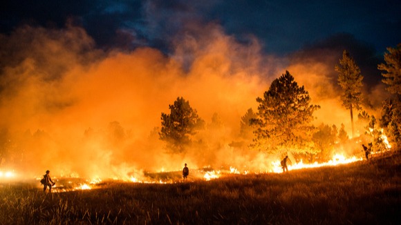 Wildfire Wildfires, or forest fires, are uncontrolled fires burning in wildland areas. Common causes include lightning, human carelessness, arson, volcano erup...