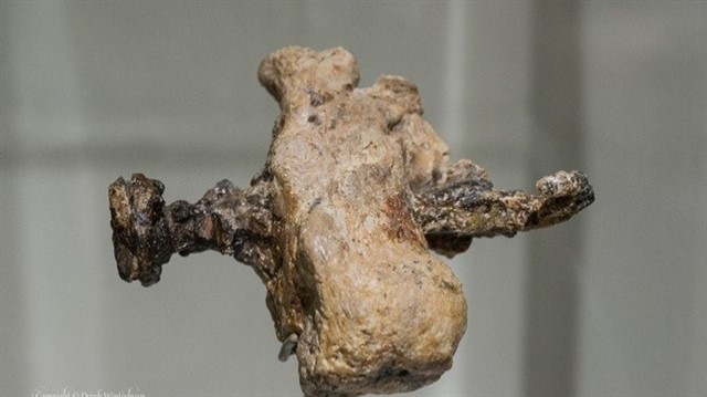 The Crucifixion Bone There is an oddity regarding crucifixion.It is well documented, and the Romans executed thousands of people this way. Yet, no physical evidence o...