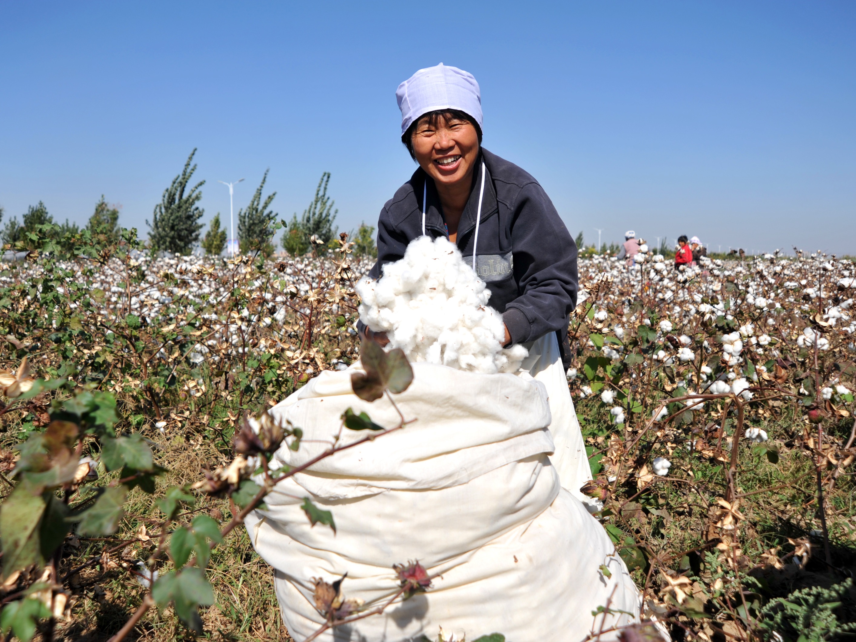 China Cotton Production in Thousand Metric Tonnes: 6,532