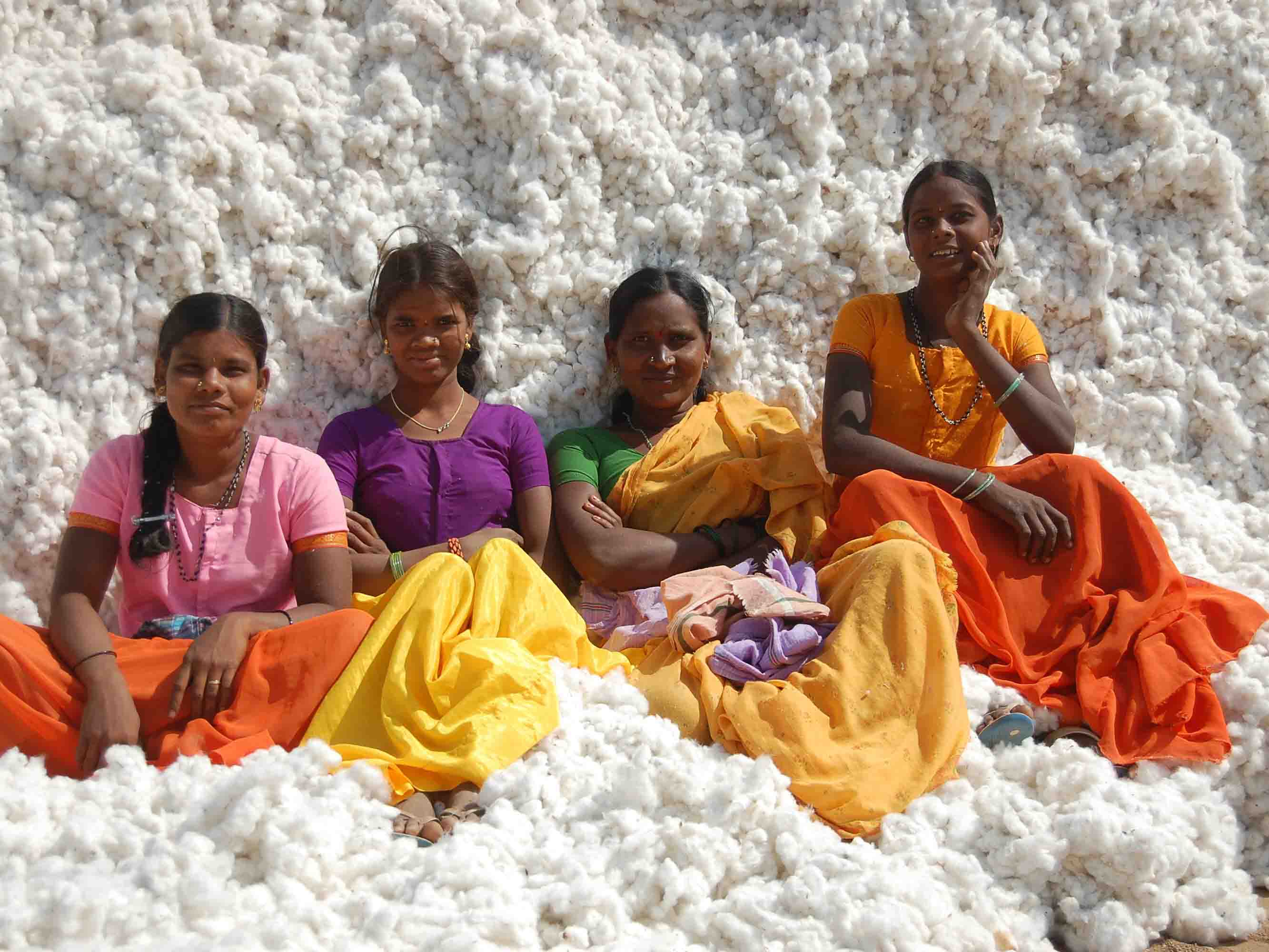 India Cotton Production in Thousand Metric Tonnes: 6,423