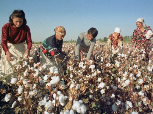 Uzbekistan Cotton Production in Thousand Metric Tonnes: 849