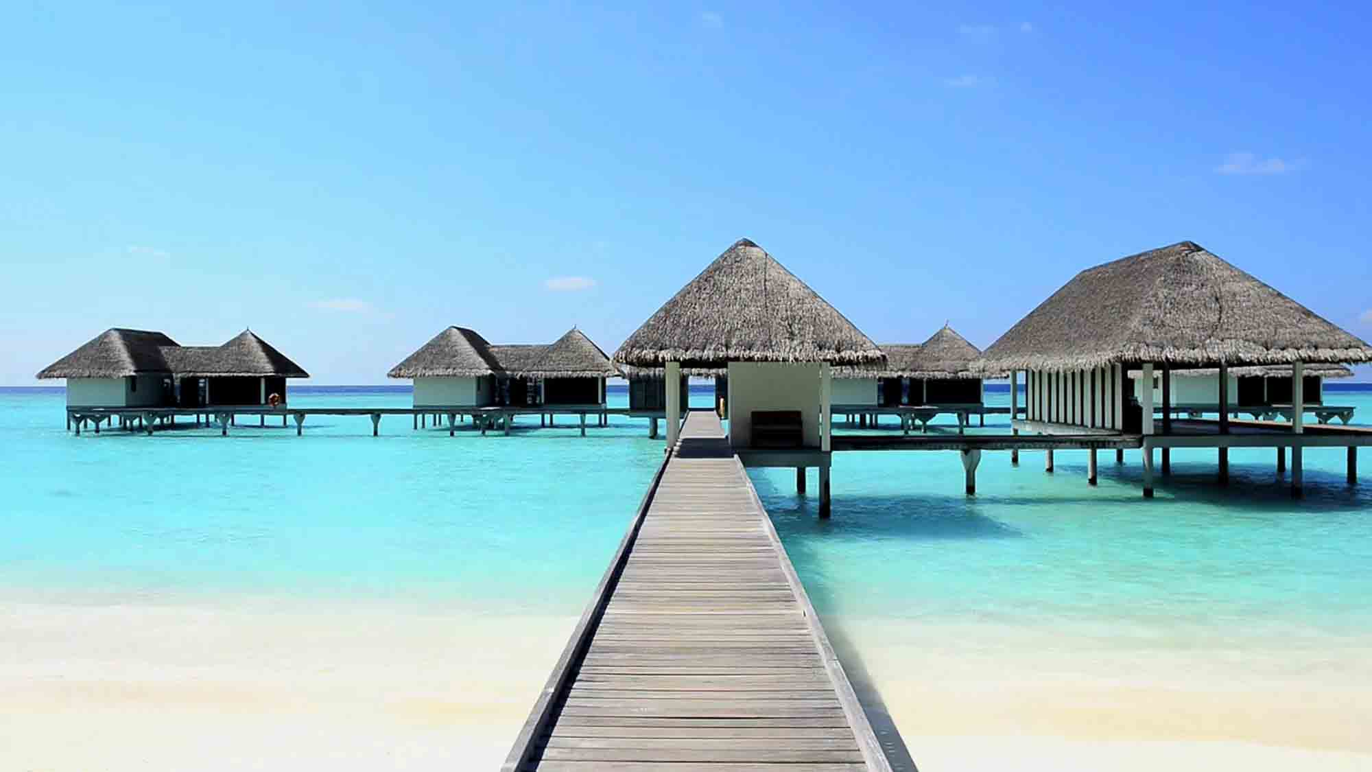 Maldives The Maldives (/ˈmÉ’ldiËvz/ or /ˈmÉ”Ëldaɪvz/ (About this sound listen); Dhivehi: Þ‹Þ¨ÞˆÞ¬Þ€Þ¨ÞƒÞ§Þ‡Þ°Þ–...